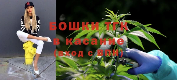 эйфоретик Богородск