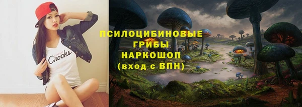 прущая мука Богданович