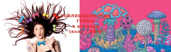 эйфоретик Богородск