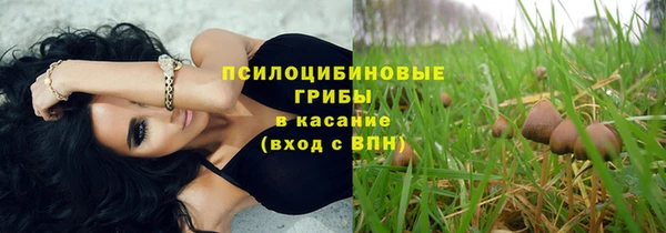 амфетамин Богородицк