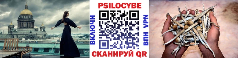 Галлюциногенные грибы Psilocybe  гидра рабочий сайт  Павловская 